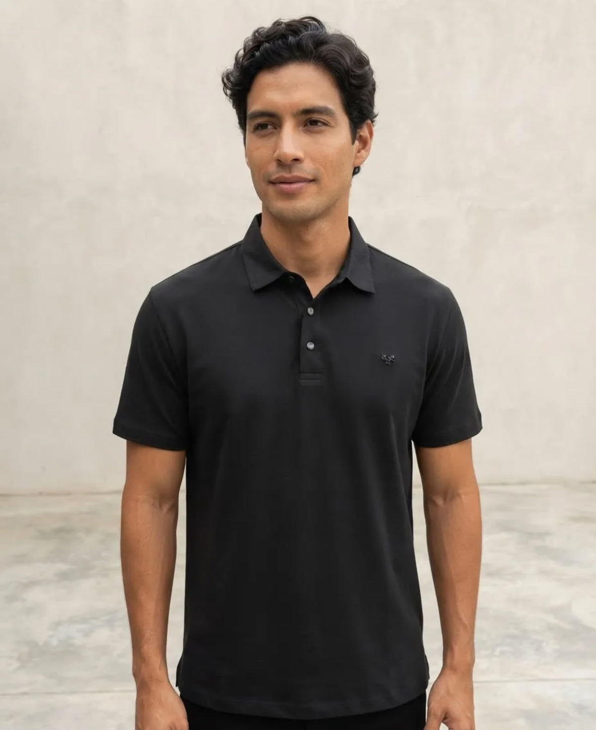 Playera de Caballero Pavini lisa talla extra