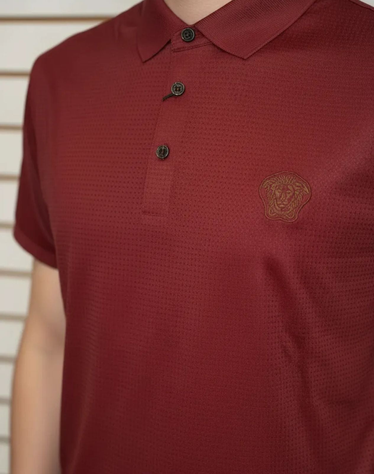 Playera de Caballero tipo Polo Pavini